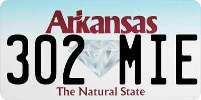 AR license plate 302MIE
