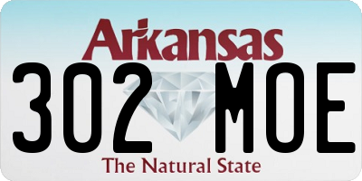 AR license plate 302MOE