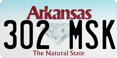 AR license plate 302MSK