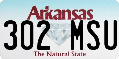 AR license plate 302MSU