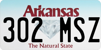 AR license plate 302MSZ