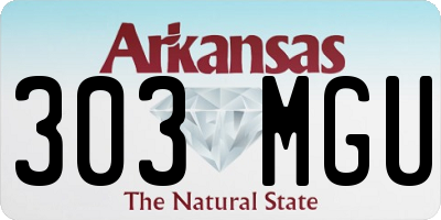 AR license plate 303MGU