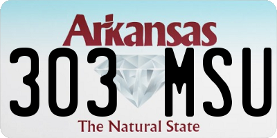 AR license plate 303MSU