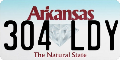 AR license plate 304LDY