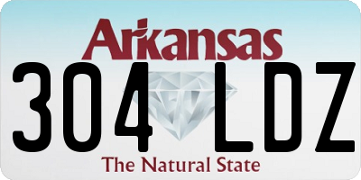 AR license plate 304LDZ