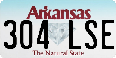 AR license plate 304LSE