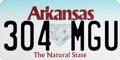 AR license plate 304MGU
