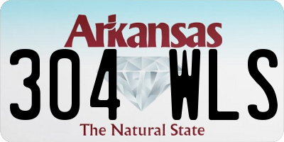 AR license plate 304WLS