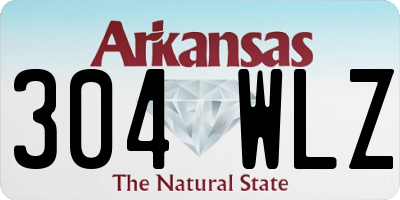 AR license plate 304WLZ