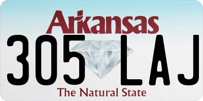 AR license plate 305LAJ