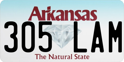 AR license plate 305LAM