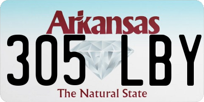 AR license plate 305LBY