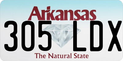 AR license plate 305LDX