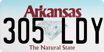 AR license plate 305LDY