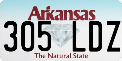 AR license plate 305LDZ