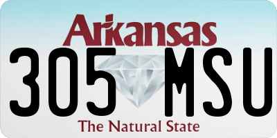 AR license plate 305MSU