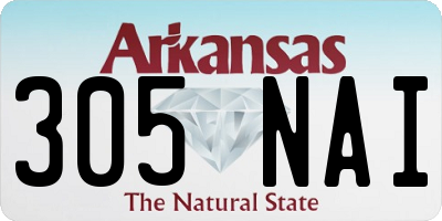 AR license plate 305NAI