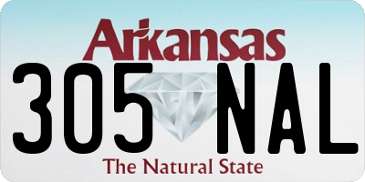 AR license plate 305NAL