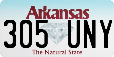 AR license plate 305UNY