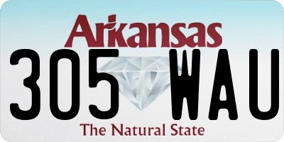 AR license plate 305WAU