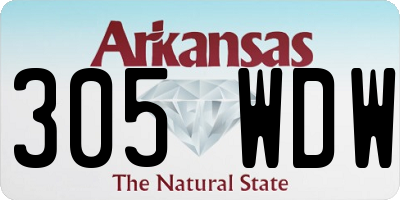 AR license plate 305WDW