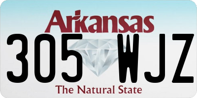 AR license plate 305WJZ