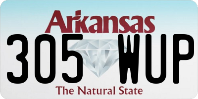 AR license plate 305WUP