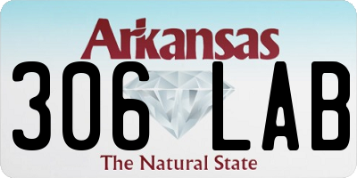 AR license plate 306LAB