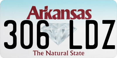 AR license plate 306LDZ