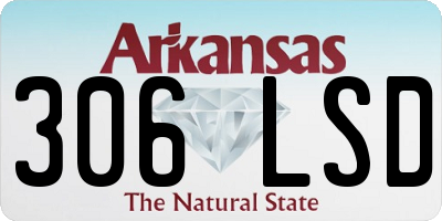AR license plate 306LSD