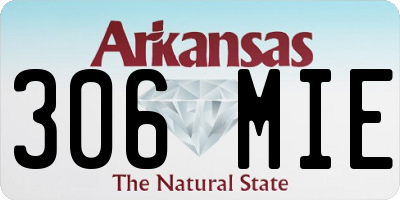 AR license plate 306MIE