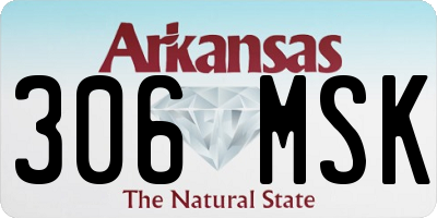AR license plate 306MSK