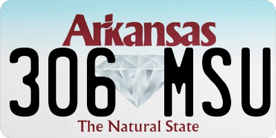 AR license plate 306MSU