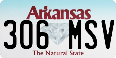 AR license plate 306MSV