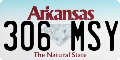 AR license plate 306MSY