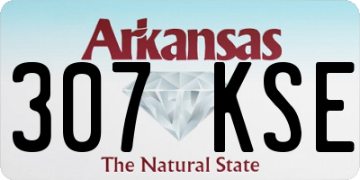 AR license plate 307KSE