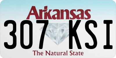 AR license plate 307KSI