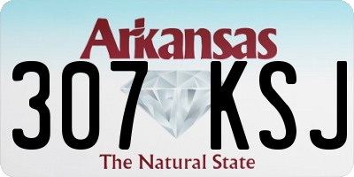 AR license plate 307KSJ