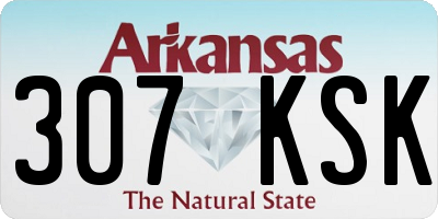 AR license plate 307KSK