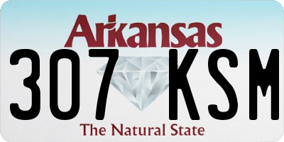 AR license plate 307KSM