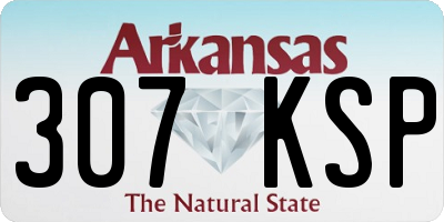 AR license plate 307KSP