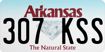 AR license plate 307KSS
