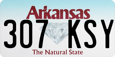 AR license plate 307KSY