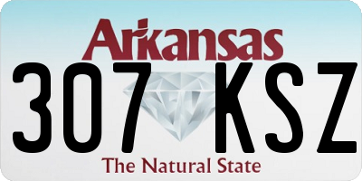 AR license plate 307KSZ