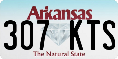 AR license plate 307KTS