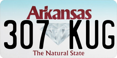 AR license plate 307KUG