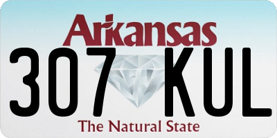 AR license plate 307KUL