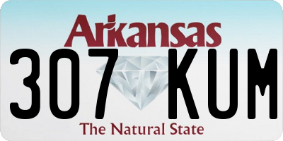 AR license plate 307KUM