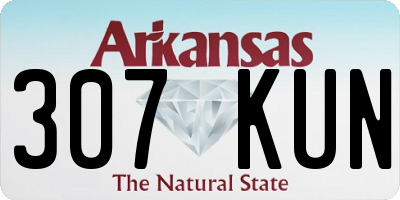 AR license plate 307KUN