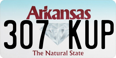 AR license plate 307KUP